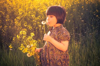 küçük kız dandelions tecavüz alan
