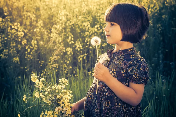 Ragazza denti di leone campo bouquet stupro — Foto Stock