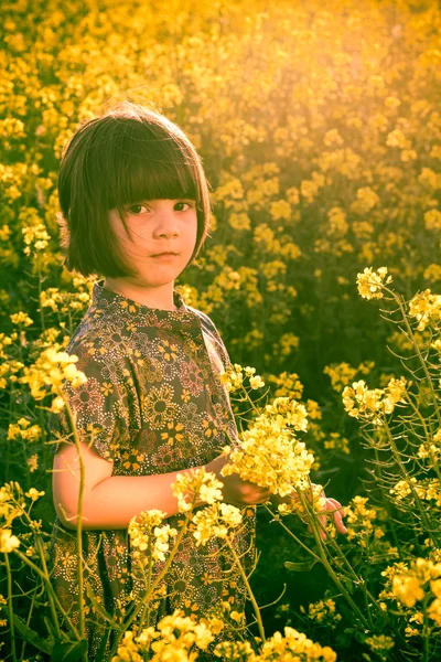 Bambina stupro campo bouquet mano — Foto Stock