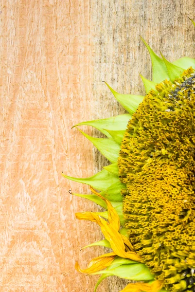 Tło kwiat słonecznika nasiona blat drewniany — Zdjęcie stockowe