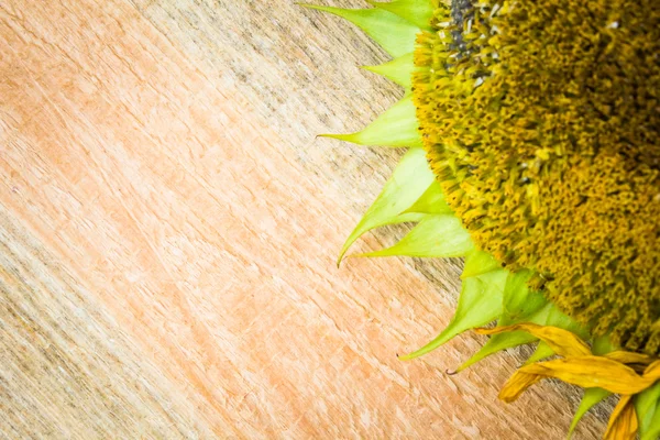 Achtergrond zonnebloempitten bloem houten aanrecht — Stockfoto