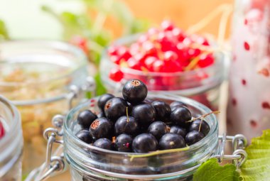 taze renkli yaz meyve kavanoz hazırlama ürünleri işleme