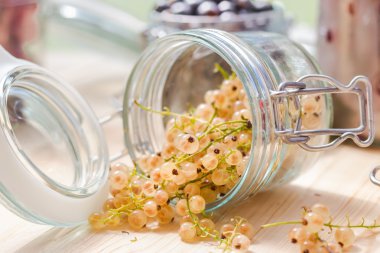 Beyaz Siyah meyve kuş üzümü kavanozlar hazırlıkları