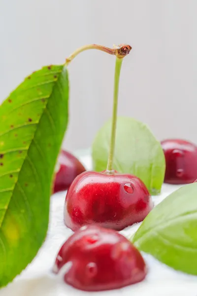 Primer plano postre de crema de frutas de cereza — Foto de Stock