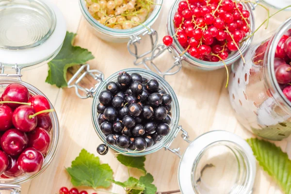 Black red white currants gooseberries cherries jars preparations — Stock Photo, Image