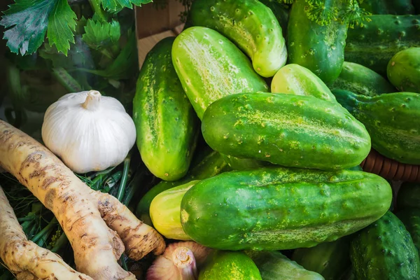 Ingrediënten voorbereiding gepekelde komkommers — Stockfoto