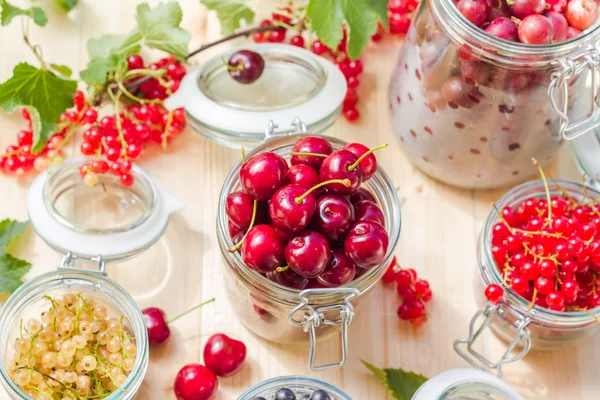 Productos de preparación procesados frescos coloridos frascos de frutas de verano —  Fotos de Stock