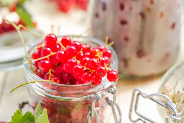 Red white currants gooseberries jars preparations — Stock Photo, Image