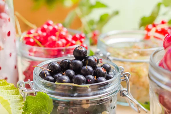 Black red white currants gooseberries cherries jars preparations — Stock Photo, Image
