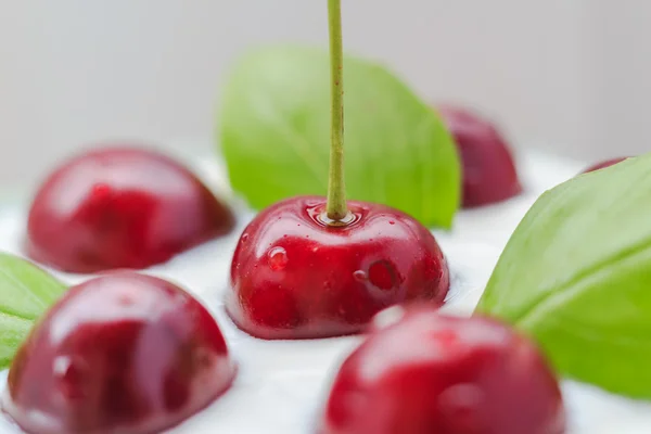 Närbild körsbär frukt kräm dessert — Stockfoto