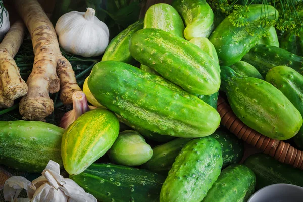 Ingrediënten voorbereiding gepekelde komkommers — Stockfoto