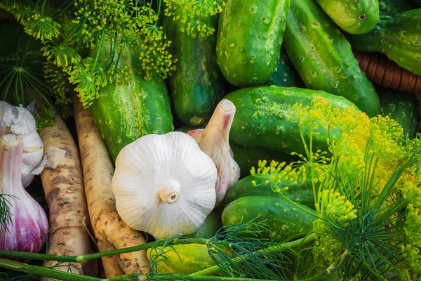 Ingrediënten voorbereiding gepekelde komkommers — Stockfoto