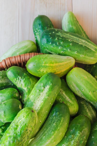 Lots fresh green cucumbers wooden table — Stock Photo, Image
