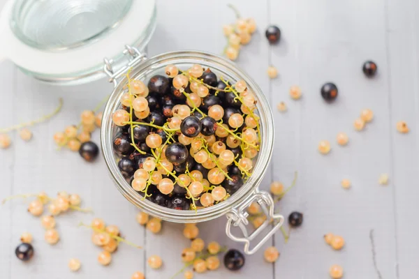 Fruits black and white currants jar wooden table — Stock Photo, Image