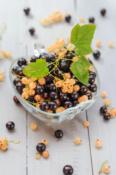 Fruits white black currants saucer wooden table Summer harvest — Stock Photo, Image