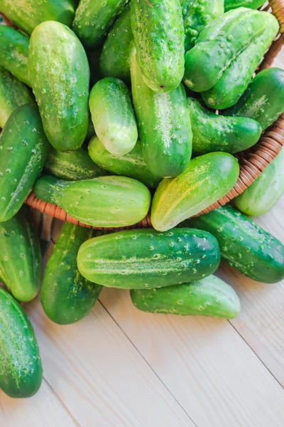 Veel verse groene komkommers houten tafel — Stockfoto