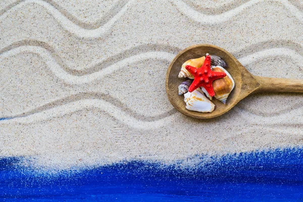 Schelpen gekleurde lepel strand zand — Stockfoto