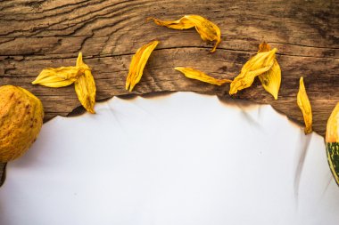 arka plan eski yönetim kurulu alanı metin düşmek