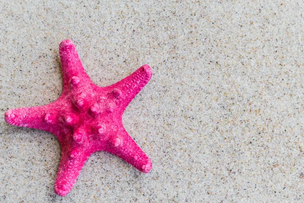 Sea shell zand bestuur strand — Stockfoto