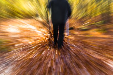 Nordic yürüyen çalıştırmak spor yürüyüş motion blur açık kişi fo bacaklar