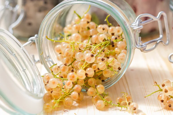 Fresh fruits white currants jars preparations — Stock Photo, Image