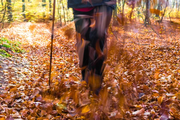 Nordic walking sport uitvoeren lopen beweging vervagen buiten persoon benen fo — Stockfoto