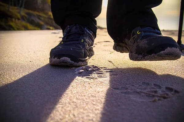Nordic walking sport uitvoeren lopen buiten persoon benen tarief stok san — Stockfoto