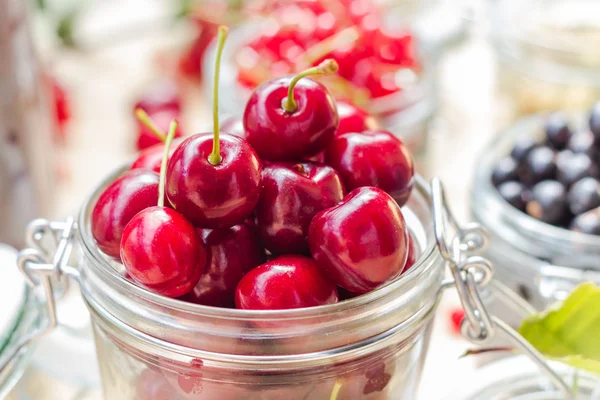 Top view summer fruits prepared Preserving — Stock Photo, Image