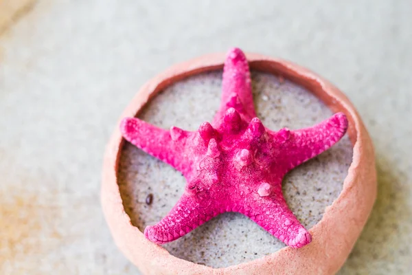 Sea shell sand board — Stock Photo, Image