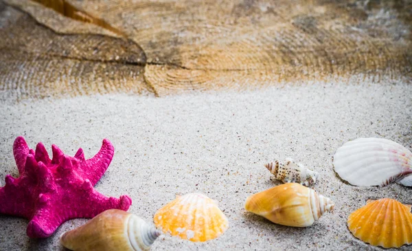 Conchas de mar colorido tablero de arena — Foto de Stock