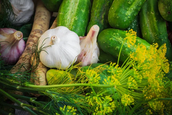 Ingrediënten voorbereiding gepekelde komkommers — Stockfoto