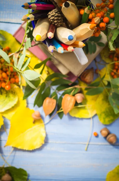 Lápis livros conceito volta escola fruta do outono — Fotografia de Stock