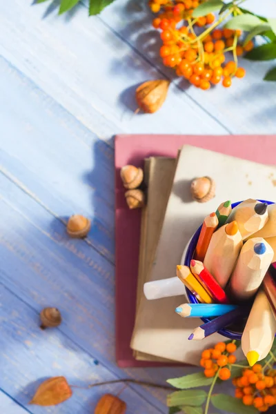 Lápis livros conceito volta escola fruta do outono — Fotografia de Stock