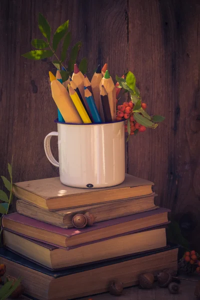 Natureza morta conceito de volta à escola — Fotografia de Stock