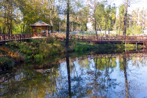Sonbahar geliyor. Güzel sarı ve yeşil yapraklı sonbahar manzarası, açık bir günde, Krakow parkında, bir gölet....