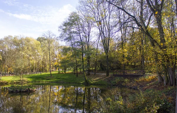 Sonbahar geliyor. Güzel sarı ve yeşil yapraklı sonbahar manzarası, açık bir günde, Krakow parkında, bir gölet....