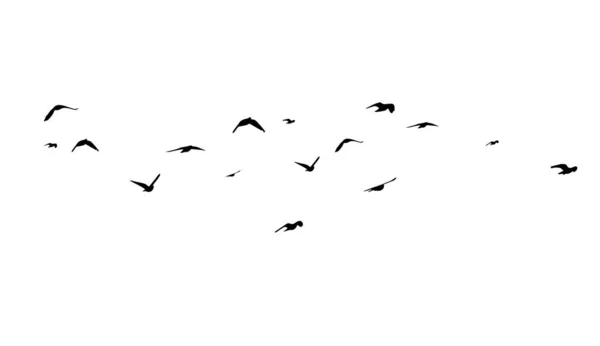 Duże stado latających ptaków. Darmowe ptaki. Ilustracja wektora — Wektor stockowy