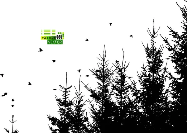 Ein Schwarm fliegender Vögel und ein Tannenwald. Vektorillustration — Stockvektor