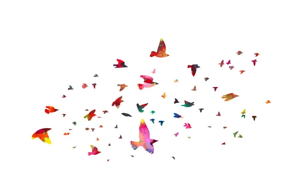 Aves voadoras coloridas. Aves migrando para o sul. Ilustração vetorial — Vetor de Stock