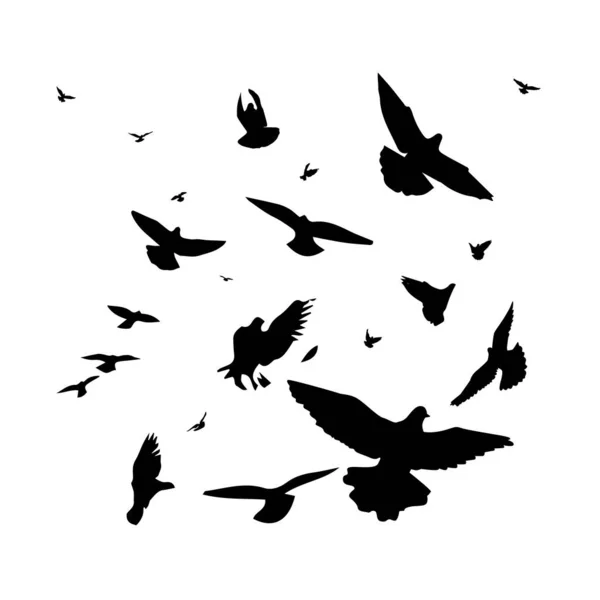 Stado latających ptaków. Darmowe ptaki. Ilustracja wektora — Wektor stockowy