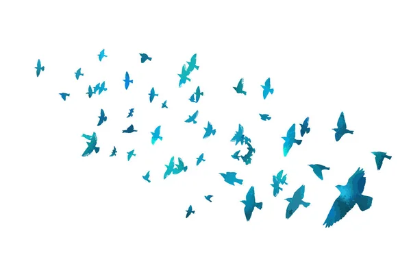 Зграя Літаючих Птахів Векторні Ілюстрації — стоковий вектор