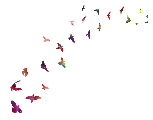 Des oiseaux volants colorés. Les oiseaux migrent vers le sud. Illustration vectorielle — Image vectorielle