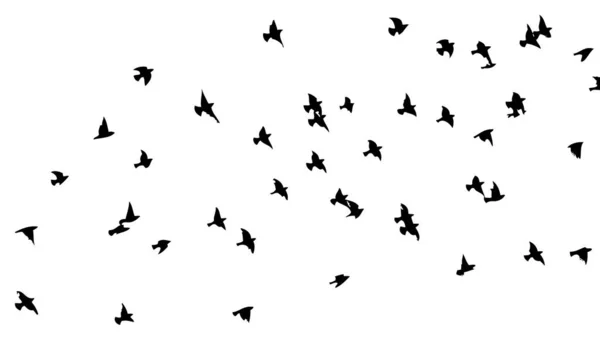 Una bandada de aves voladoras. Pájaros libres. Ilustración vectorial — Archivo Imágenes Vectoriales