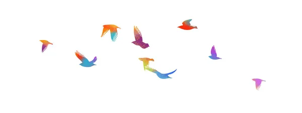 Uccelli volanti colorati nel cielo. Illustrazione vettoriale — Vettoriale Stock