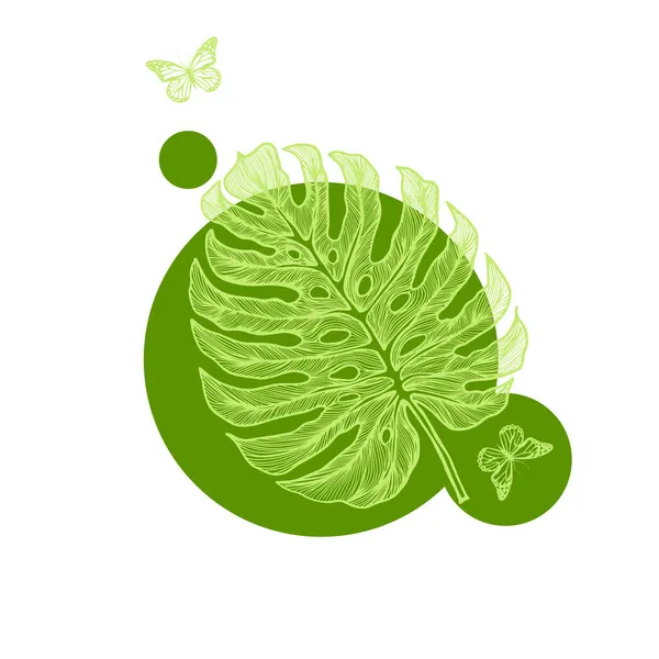 Graficzny liść potwora. Piękne ręcznie rysowane egzotyczne rośliny. logo z motylami i egzotycznym liściem. Ilustracja wektora — Wektor stockowy