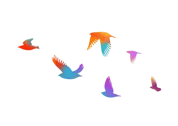 Des oiseaux volants colorés dans le ciel. Illustration vectorielle — Image vectorielle