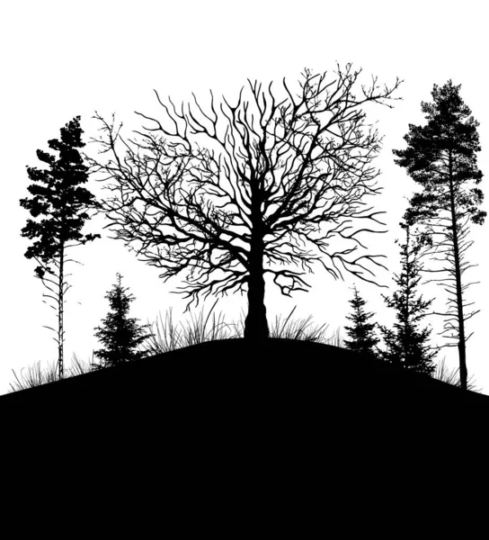 Silhouette monocrome di alberi. La natura. Illustrazione vettoriale — Vettoriale Stock