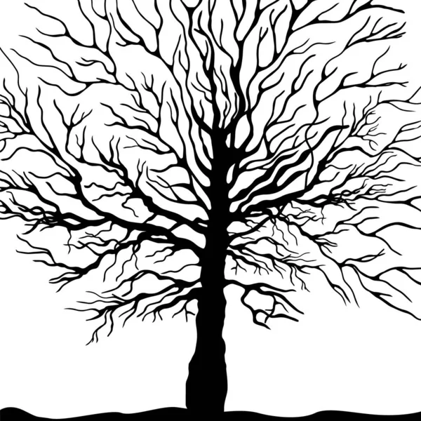 Schwarze Baumsilhouetten auf weißem Hintergrund, Vektorillustration — Stockvektor