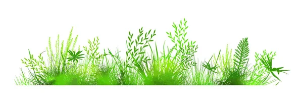 Erba verde. La linea orizzontale dell'erba. Illustrazione vettoriale — Vettoriale Stock