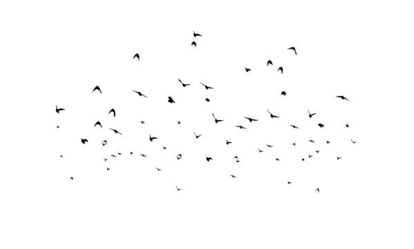 Una bandada de pájaros volando. ilustración vectorial en blanco y negro — Vector de stock